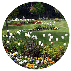 The Groundsman Landscapes Ltd - Grounds Maintenance in London, Surrey and surrounding areas